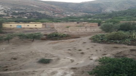 ⴰⵔⵓⴳⵓ / Arugo أروگو ميضار الطو ⵎⵢⴹⴰⵔ ⵓⴼⴰⵍⴰ