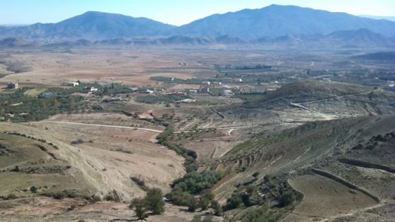 استراحة مع تواتون