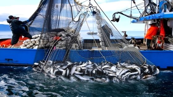 ميناء ” كالا أيرس ” بالحسيمة إستقبل أزيد 230 طن من الاسماك خلال سنة 2023