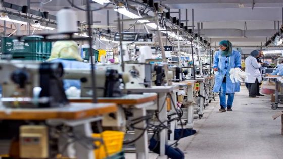 إحداث حوالي 25 ألف مقاولة خلال الأشهر الثلاثة الأولى من سنة 2024