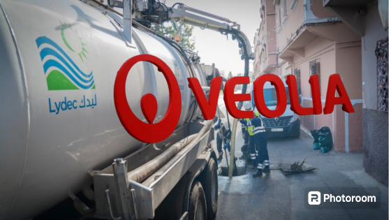 السلطات المغربية تشتري حصة فيونيا من شركة ليديك .