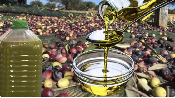 إرتفاع مرتقب في اسعار زيت الزيتون في الموسم المقبل