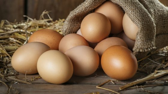 بعد الارتفاع الصاروخي لثمن لحم الدجاج ،ثمن البيض يرتفع و المواطن المغربي بين المحك