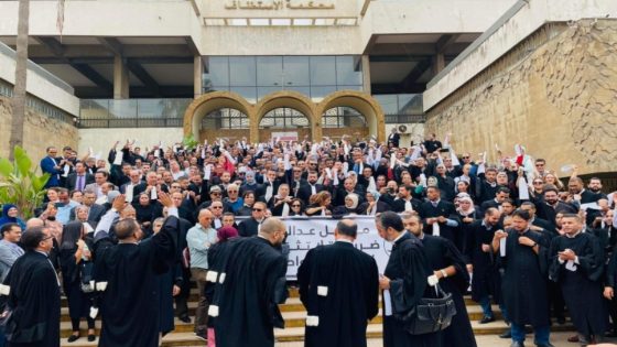 المحامون المغاربة يضربون عن الترافع