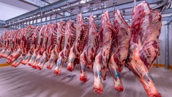 بوادر انخفاض اسعار اللحوم بالمغرب تلوح في الأفق بعد عملية الإستيراد الاخيرة
