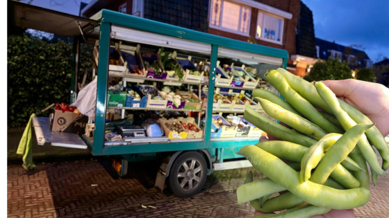 العيساتي عبد الاله: بويباون