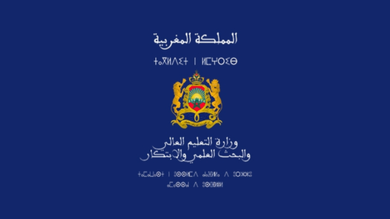طلبة الجامعة: تلبية طلبات المنحة وصلت 93% خلال سنة 2024