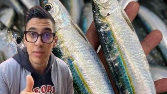 مول الحوت” يُحرك المياه الراكدة: صراع ضد الاحتكار قد يُعيد الثقة للمستهلك