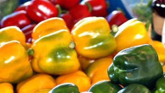 ألمانيا تسحب شحنة فلفل مغربي بسبب تجاوز مستويات المبيدات المسموح بها