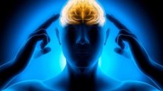 “غذاؤك سلاحك: كيف يقوي الطعام ذكائك ومزاجك