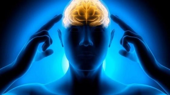 “غذاؤك سلاحك: كيف يقوي الطعام ذكائك ومزاجك